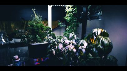 Homemade Hydroponic System – ASMR Style