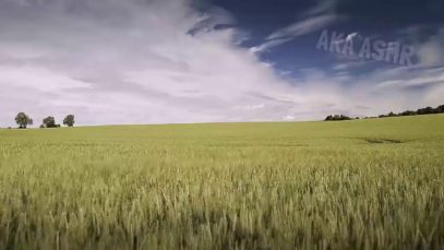 Japanese ASMR #6