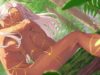 Japanese Ecchi ASMR Forest elf oil handjob