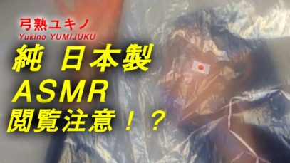 【JapaneseASMR】ローラ・パーマー式ASMR×Binaural ❤︎Laura palmer style ASMR×Binaural mic!❤︎