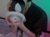 MIAOW ASMR Brain~ear melting sounds2，看简介
