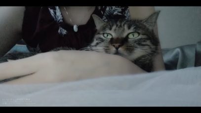 MIAOW ASMR?喵喵喵口腔音Intense mouth sounds激烈的嘴声?
