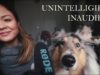 My dog tries ASMR ? Unintelligible inaudible • Mouth sounds • Tapping