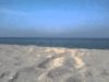 [No Talking Sound ASMR] 파도 소리 Wave Sound (bit windy)