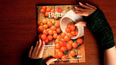 ? Relaxing Whispered Seed Catalog Flip Through ? ASMR 2019