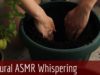 Tiny Little ASMR Gardening Video – Re potting Plants