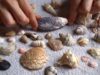 Treasures of the Earth – Whispered ASMR video for SLEEP ♡