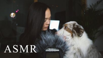 VUODEN 2020 EKA ASMR ? Mikin harjausta ja koirien rapsuttelua