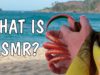 WHAT IS ASMR? Best trigger from long nails, tingles for relax, satisfying & sleep!