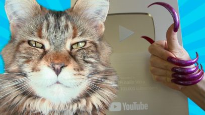 YouTube Silver button for ASMR nails Vera & FUNNY CAT