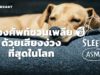 ท่องศัพท์ชวนเพลีย ด้วยเสียงง่วงที่สุดในโลก (Music Box V.) | คำนี้ดี SLEEPY EP.28