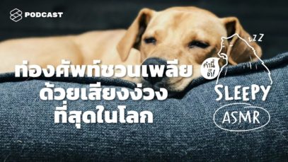 ท่องศัพท์ชวนเพลีย ด้วยเสียงง่วงที่สุดในโลก (Music Box V.) | คำนี้ดี SLEEPY EP.28