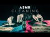 ASMR ?Cleaning Vinyl Records (No Talking)