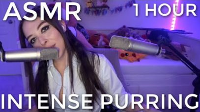 |ASMR| Intense Purring to Help You Fall Asleep ?  (1 Hour)