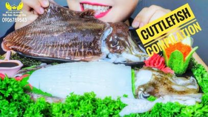ASMR EATING CUTTLEFISH COMPILATION , EATING SOUNDS | LINH-ASMR