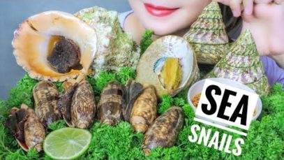 ASMR EATING SEA SNAILS ( Sea apple snail , Sweet snails , mortar snail)  EATING SOUNDS | LINH-ASMR