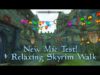 ASMR | NEW MIC! Walking around Skyrim | Music & Ambience | Blue Yeti X