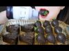 ASMR EATING BLACK STRABERRY X BLACK JERRY CHESSE , EATING SOUNDS | LINH ASMR
