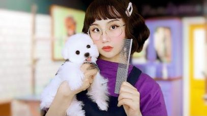*ASMR* Sassy Dog Groomer Role Play – DOG POV | Scissor Sounds ✂️