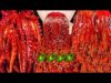 ASMR SPICY BLACK BEAN OCTOPUS, ENOKI MUSHROOMS 짜장불닭 팽이버섯(레시피), 낙지먹방 EATING SOUNDS MUKBANG