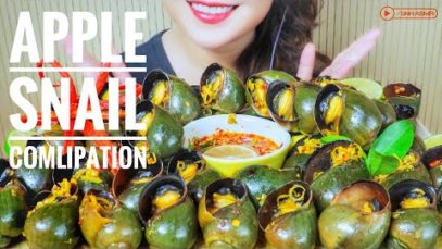 ASMR APPLE SNAIL COMPILATIONS EATING SOUNDS | LINH-ASMR