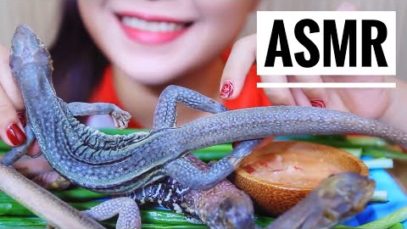ASMR STEAMED SAND IGUANA , SPEACIAL FOOD FROM VIETNAM | LINH-ASMR