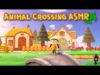 Animal Crossing ASMR ?️ A chill tour of my updated island and museum!