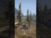 Can you believe GTA could be this relaxing?? ? ASMR #Shorts