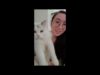The Fastest Pet Store Roleplay! ?? ASMR #Shorts