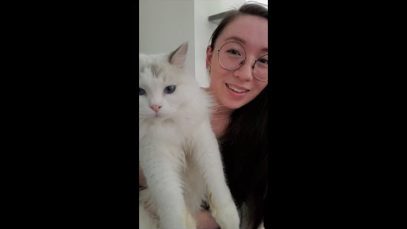 The Fastest Pet Store Roleplay! ?? ASMR #Shorts