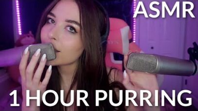 ASMR 1 Hour Of Amazing Purring To Help You Sleep ?