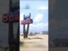 The most relaxing gas station ever ?⛽ ASMR #Shorts