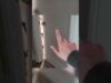 What’s behind Door #3? ? Sneak Peek | ASMR #Shorts
