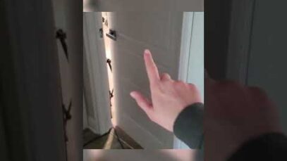 What’s behind Door #3? ? Sneak Peek | ASMR #Shorts