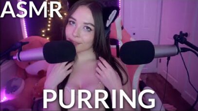 ASMR Amazing Purring To Help You Relax (1 hour)
