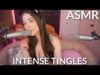 ASMR 1 Hour of The Best Intense Tingles, Ear Brushing, Purring, Soft Whispers (EN/FR) Filmed Live ?