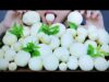 ASMR COCONUT PULP (Fluffy Soft CRUNCHY EATING SOUNDS) NO TALKING | LINH-ASMR