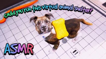 ASMR | I’ve been waiting for a game like this! ? Animal Shelter Simulator ? Close up whispers