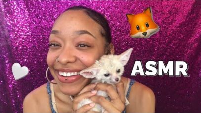 ASMR WITH A BABY FENNEC FOX ??