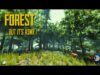ASMR | Can I make The Forest relaxing? 🌳 Close up whispering