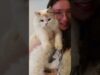 1 minute of my cat adorably interrupting my videos 🐱 #ASMR #shorts