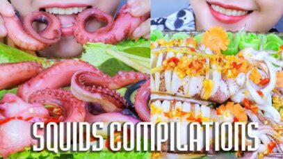 ASMR SQUID COMPILATIONS | LINH-ASMR