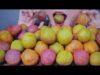 ASMR EATING POTATO BALLS CAKE   BÁNH BONG BÓNG KHOAI TÂY , EATING SOUNDS | LINH-ASMR