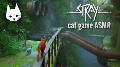 Stray ASMR 🐈 ULTIMATE Cat Game Relaxation 🐈 Soft spoken voice over + my real cat!