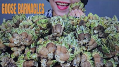 ASMR EATING GOOSE BARNACLES , EATING SOUNDS | LINH-ASMR