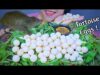 ASMR EATING TORTOISE EGGS EATING SOUNDS | LINH-ASMR