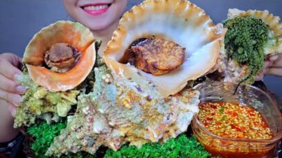 ASMR SEA APPLE SNAIL ( tutufa rubeta)  EATING SOUNDS | LINH-ASMR