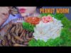 ASMR PEANUT WORM- EXOTIC FOOD , EATING SOUNDS | LINH-ASMR